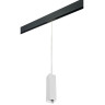 Комплект со светильником LIGHTSTAR PRO Rullo PRORP6396