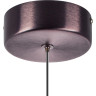 Люстра LIGHTSTAR CARAMELLO 796110 LED 6W 130LM 3000K кофейный/прозрачный