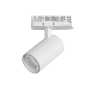 Светильник LIGHTSTAR ALTA BASE A5136QT15G