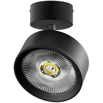 Светильник накладной LIGHTSTAR ALTA PRO A5747SO