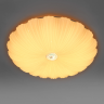 Светильник настенно-потолочный LIGHTSTAR ARCO II 225440